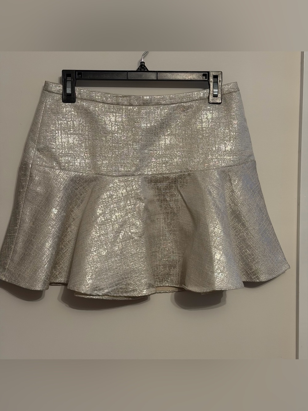 Express Silver Metallic Flared Circle Skirt